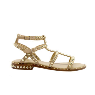 ASH DONNA Donna SANDALO CIPRIA BORCHIE 36, 37-2, 38-2, 39-2, 40, 41-2 immagine n. 1/4