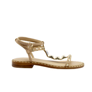 ASH DONNA Donna SANDALO CIPRIA BORCHIE 36, 37-2, 38-2, 39-2, 40, 41-2 immagine n. 1/4