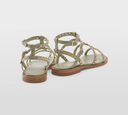 ASH DONNA Donna SANDALO GLADIATORE EUCALIPTO 36, 37-2, 38-2, 39-2, 40 immagine n. 4/5